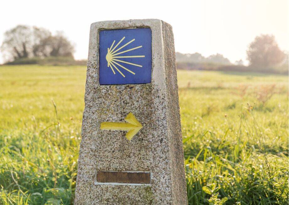 This is the recognizable symbol for pilgrims of the Camino de Santiago route.