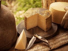 The Manchego cheese is only prepared in La Mancha region from a specific breed of sheep called Manchega.