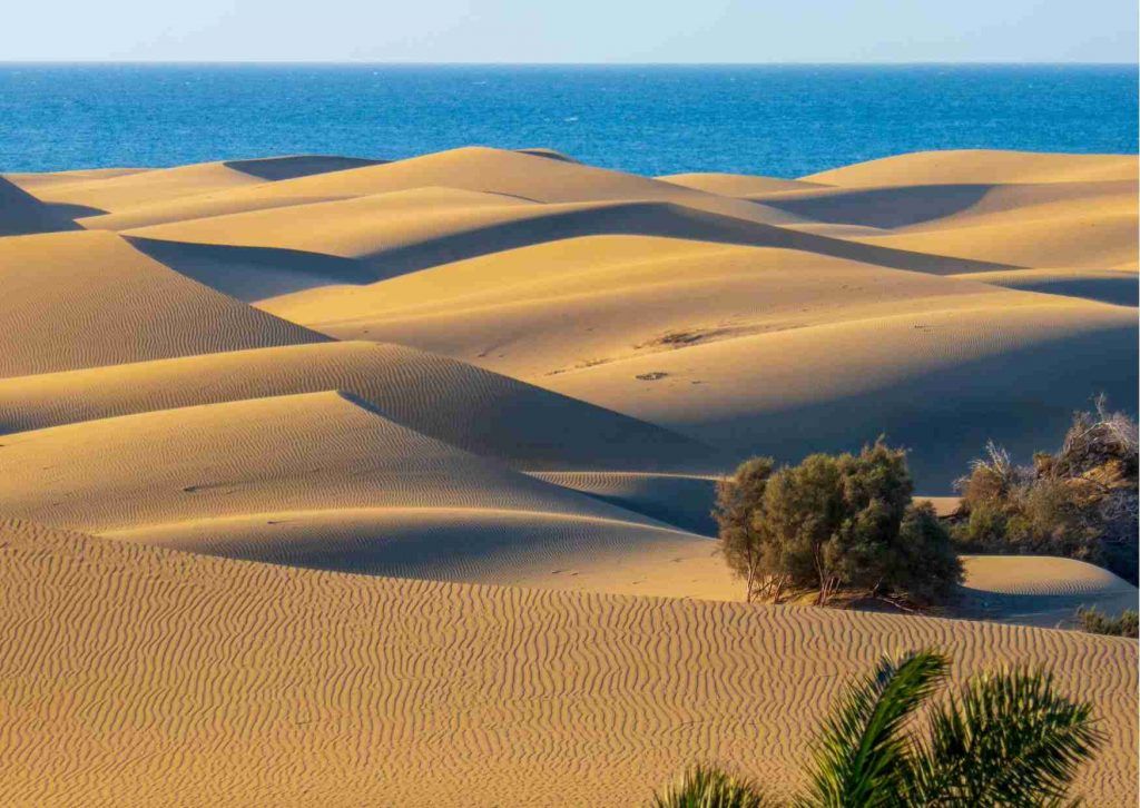 Sand dunes reminiscent