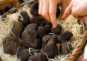 The best use of the truffle is the slicing, by means of smooth and thin slices.