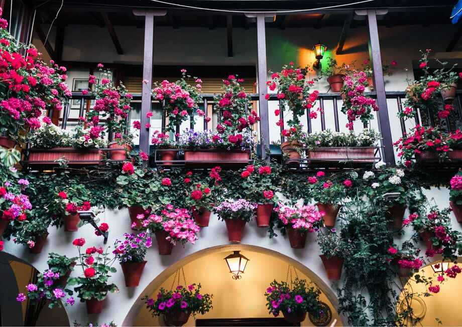 The Festival de los Patios Cordobeses is a contest of courtyards in Cordoba (Spain) held during the first and second week of May.